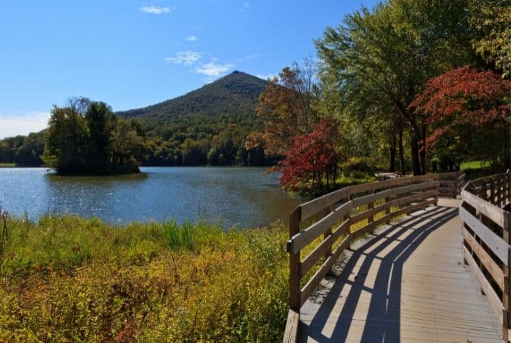 Waterfall near Blue Ridge Parkway; Photo Copyright 1998 Brian Raub