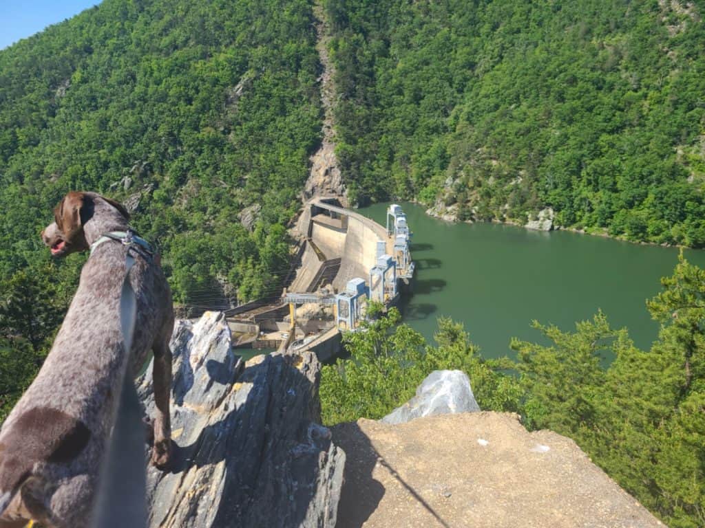 image of the Smith Mountain Lake Dam