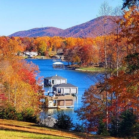 fall leaves at Smith Mountain Lake, VA