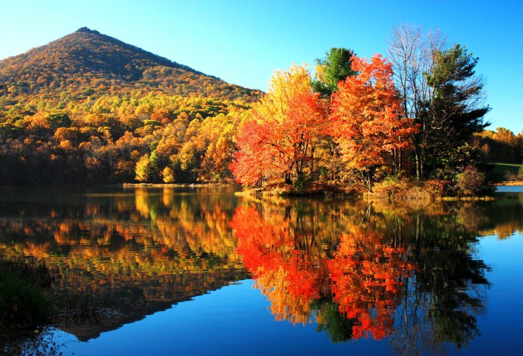 Colorful fall leaves reflected in Abbott Lake at Peaks of Otter, Virginia