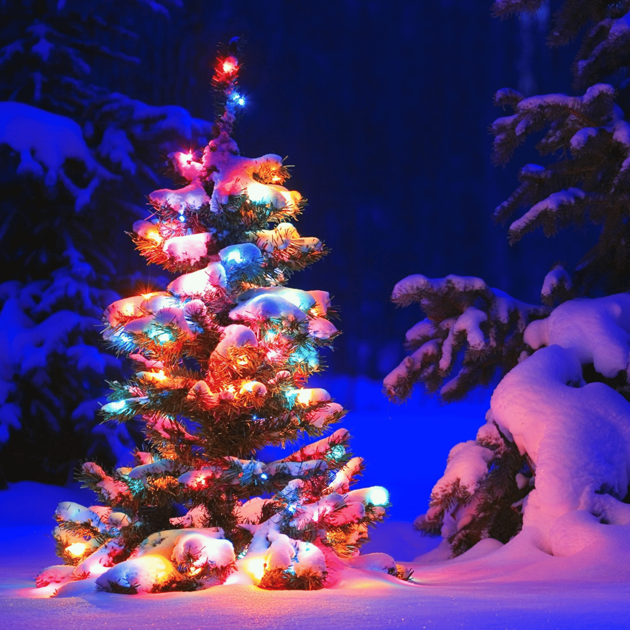 snowy Chiristmas tree with colored lihts