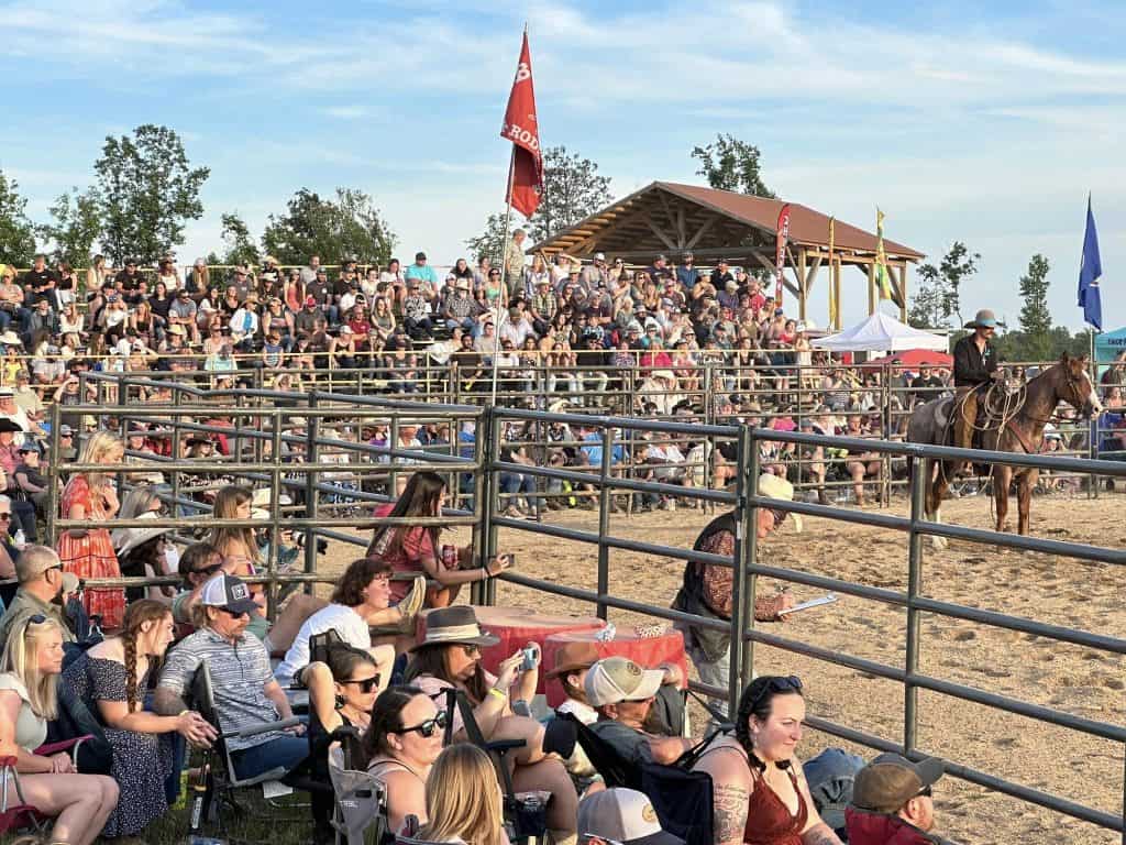Crowd watching rodeo with horse in foreground.