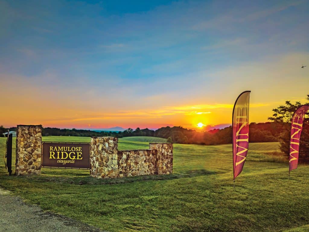 Sunset over Ramulose Ridge Vineyards at Smith Mountain Lake, VA.