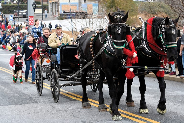 A horse-drawn carriage proceeding through Bedford Christmas Parade in downtown Bedford with spectators lining streets, photo by Jeff Reid