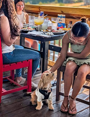 Low-maintenance materials are used for a gazebo-style dock at Smith Mountain Lake, Virginia.