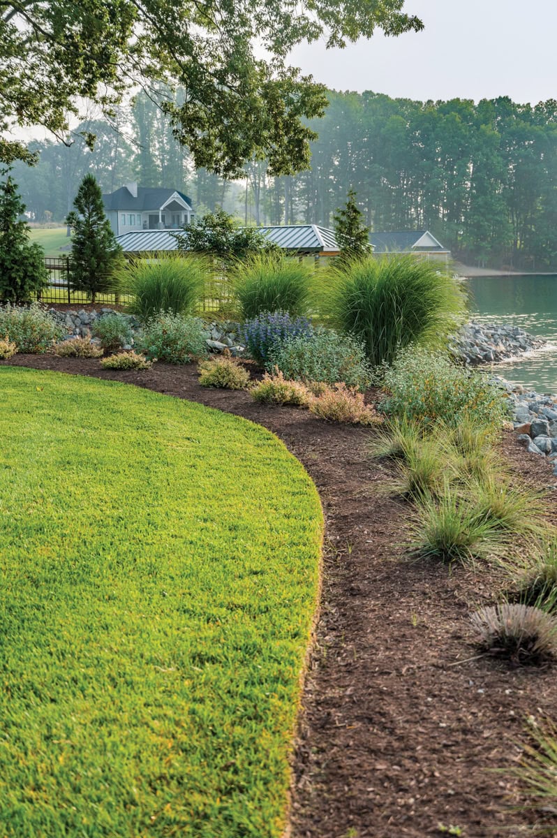 Low-profile shoreline plantings and pink muhly grass for erosion control at Smith Mountain Lake.