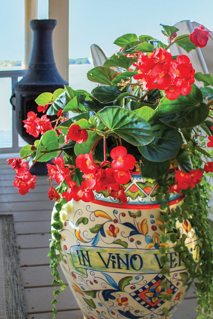 Large ceramic planter filled with colorful begonias on a deck for easy lakeside style.