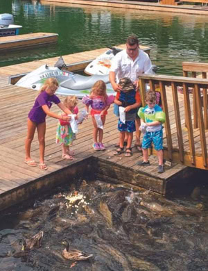 Low-maintenance materials are used for a gazebo-style dock at Smith Mountain Lake, Virginia.