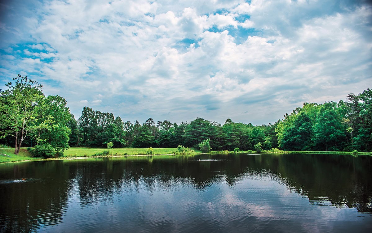 Gilly's Park in Rocky Mount featuring a pond and peaceful green space near Smith Mountain Lake