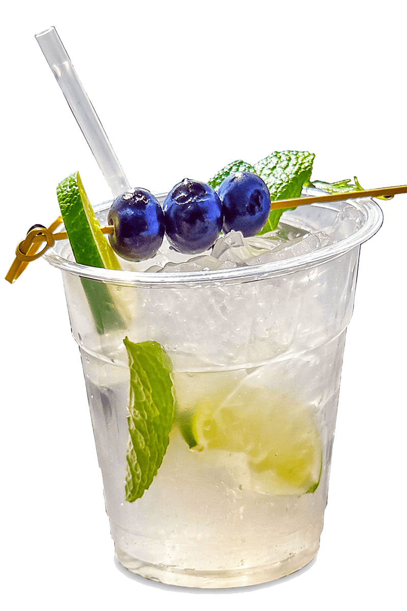 Blueberry Lavender Mojito at Coasters restaurant, Blackwater, Smith Mountain Lake