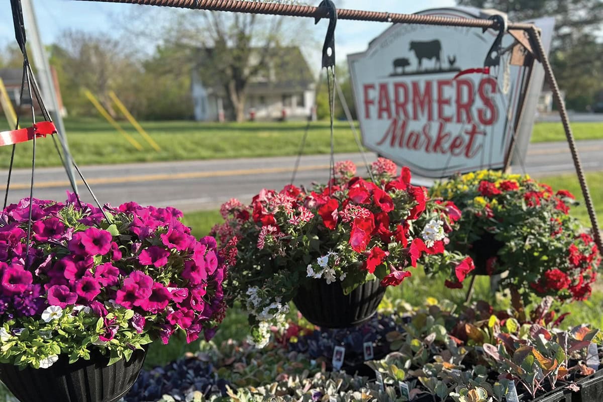 Redwood Community Farmer’s Market in Glade Hill, near Smith Mountain Lake